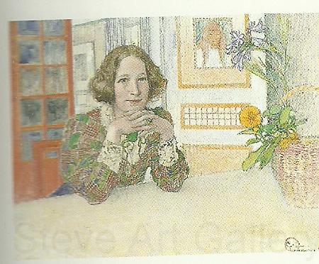 Carl Larsson annastina alkman Germany oil painting art